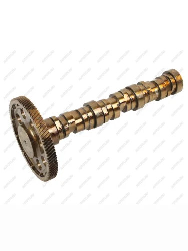 Вал распределительный MERCEDES Actros дв.OM501LA BF BF 20100350101