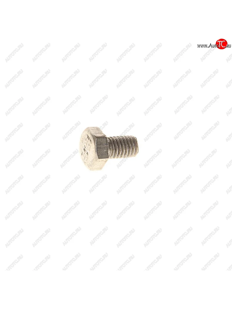 Болт М6х1.0х10 ГАЗ,УАЗ дв.ЗМЗ многоцелевой ЭТНА Красная Этна ОАО 201415-п29  в Самаре Самарской области