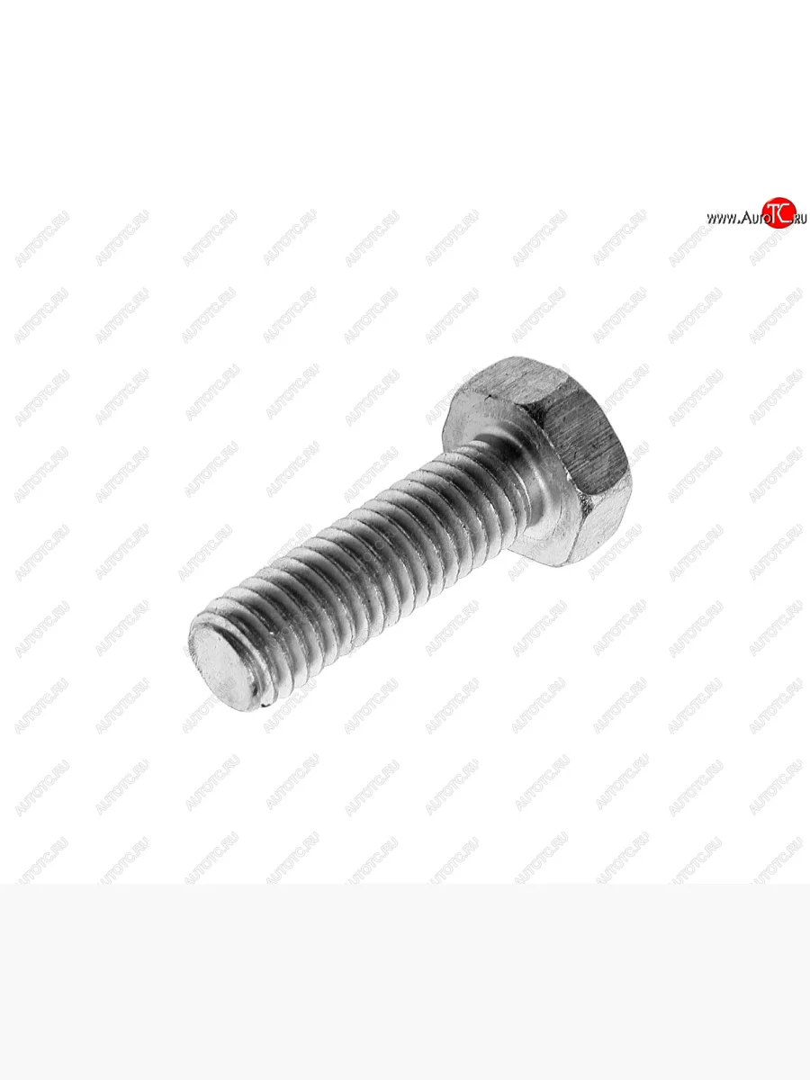 Болт М6х1.0х20 ЗИЛ-130 скобы радиатора масляного, ГАЗ-3110 ГЦС, РЦС, ГАЗ-3302 стояночного торм. ЭТНА Красная Этна ОАО 201420-п29  в Самаре Самарской области