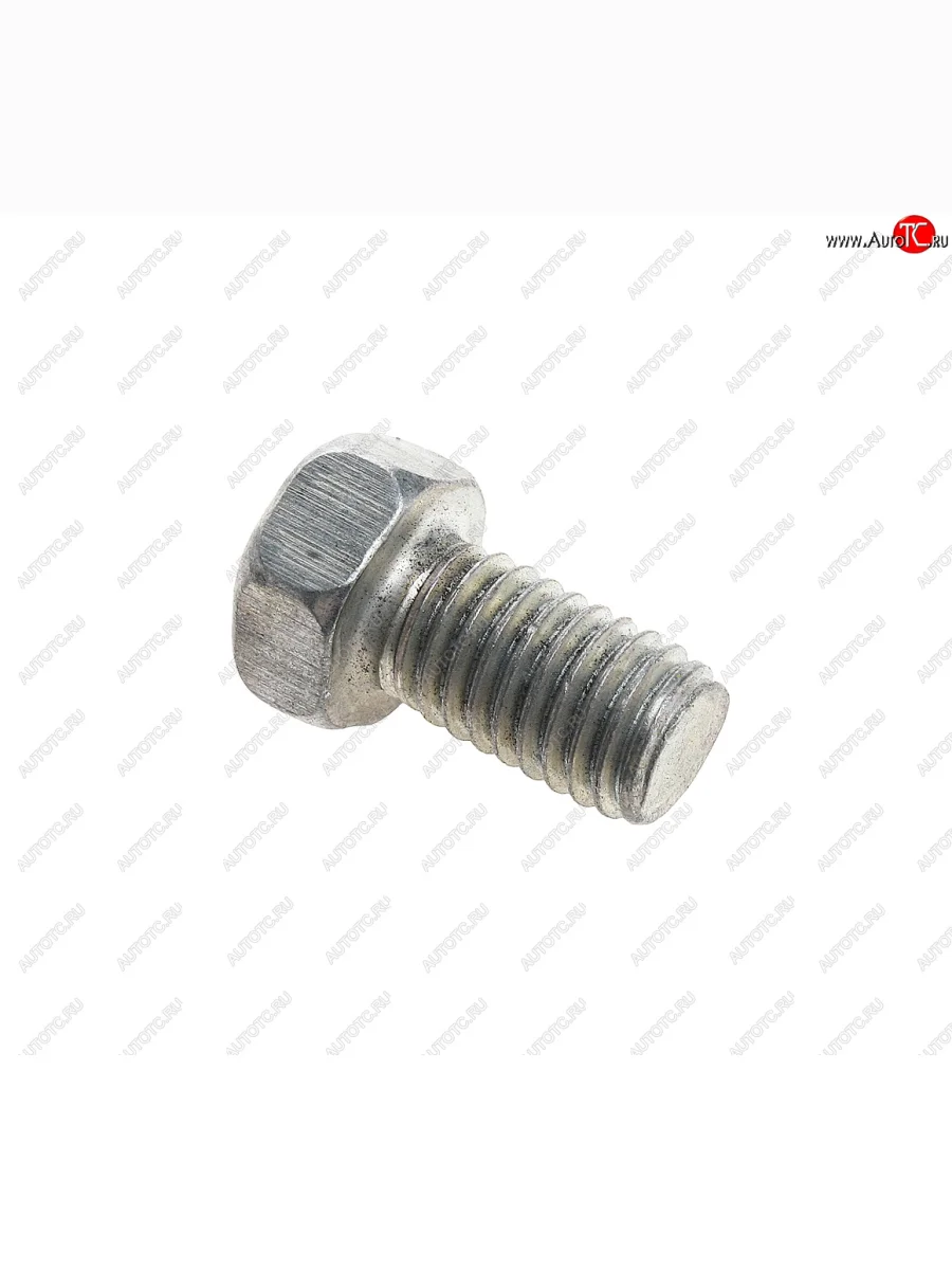 Болт М8х1.25х14 КАМАЗ,ВАЗ крепления массы ЭТНА Красная Этна ОАО 201453-п29  в Самаре Самарской области