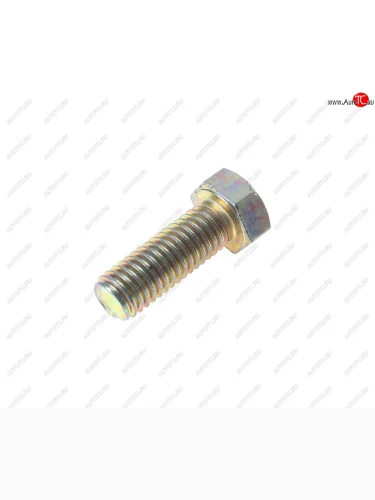 Болт М8х1.25х22 ГАЗ-24 планки генератора, ГАЗ-3102 защелки крышки багажника ЭТНА Красная Этна ОАО 201457-п29