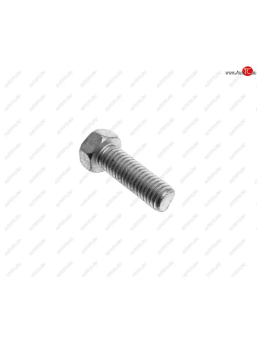 Болт М8х1.25х25 ЗИЛ-433360 кронштейна радиатора масляного, ГАЗ-2410 крепление ГЦС ЭТНА Красная Этна ОАО 201458-п29