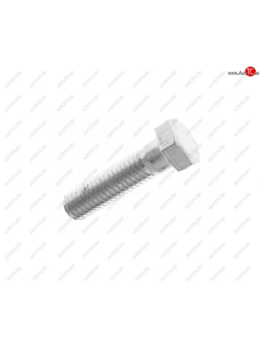 Болт М8х1.25х30 ЗИЛ-5301 крышки фильтра тонкой очистки топлива ЭТНА Красная Этна ОАО 201460-п29