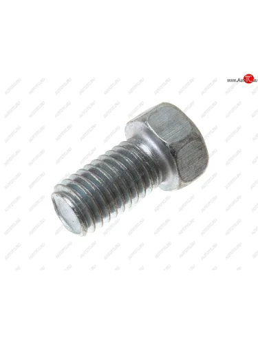 Болт М10х1.5х19 стопора оси блока шестерен заднего хода ЭТНА Красная Этна ОАО 201494-п29