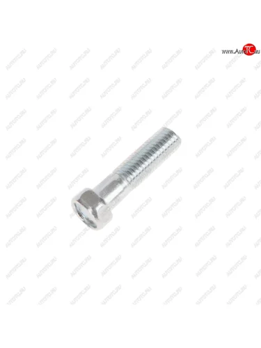 Болт М12х1.75х45 многоцелевой ЭТНА Красная Этна ОАО 201546-п29