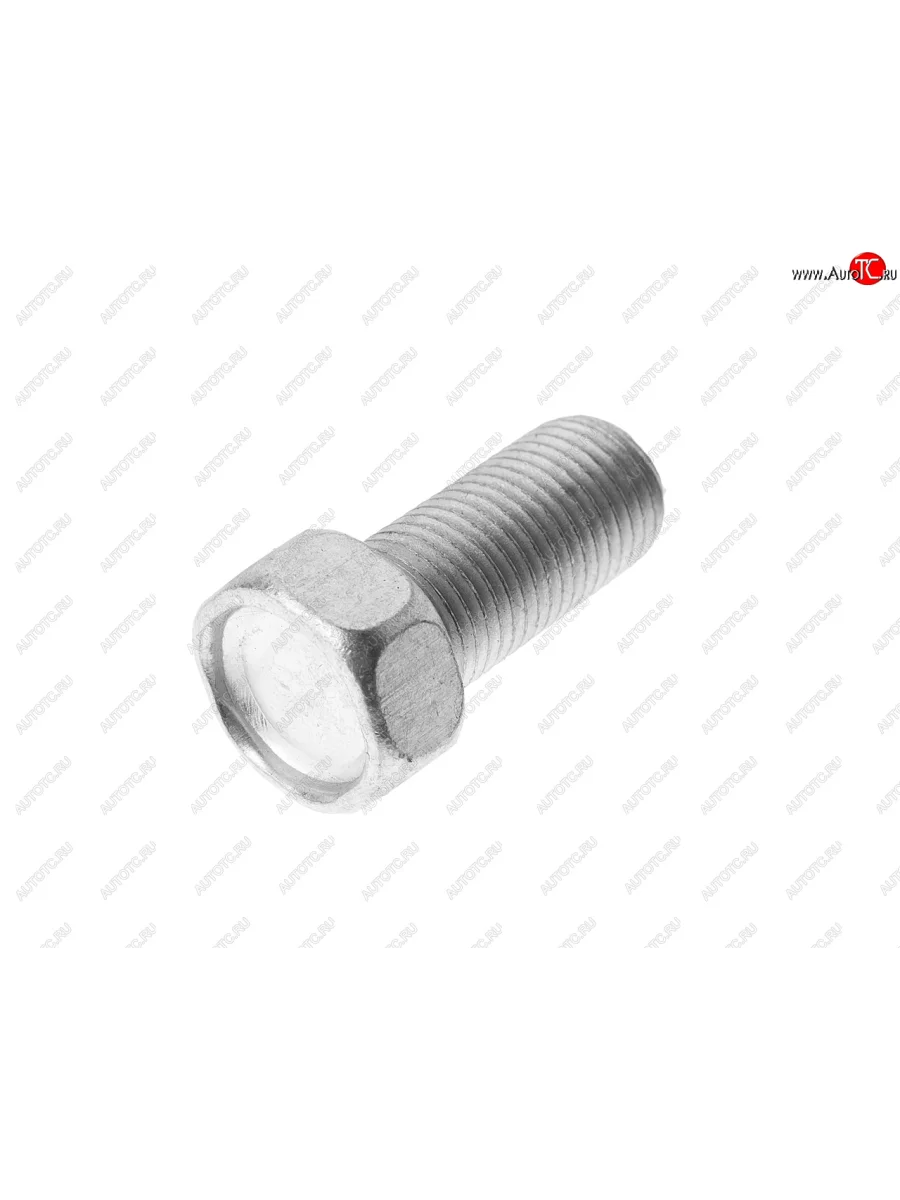 Болт М12х1.25х25 ЗИЛ-5301 бампера переднего, щита тормозного ЭТНА Красная Этна ОАО 201561-п29  в Самаре Самарской области