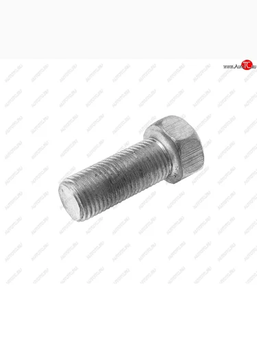 Болт М12х1.25х30 ЗИЛ-433360 бампера переднего, брызговика двигателя ЭТНА Красная Этна ОАО 201563-п29