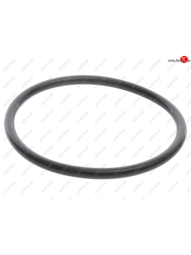 Кольцо уплотнительное MRECEDES Actros,Axor дв.OM501,502,457,906LA термостата SAMPA SAMPA 203.148
