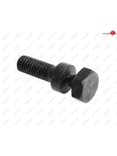 Болт М6х1.0х24 ВАЗ-2101,2109 замка зажигания NO NAME 21010-3704324-008