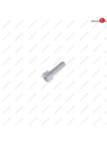Болт М6х1.0х20 ВАЗ-2108 насоса масляного NO NAME 2108-1011023