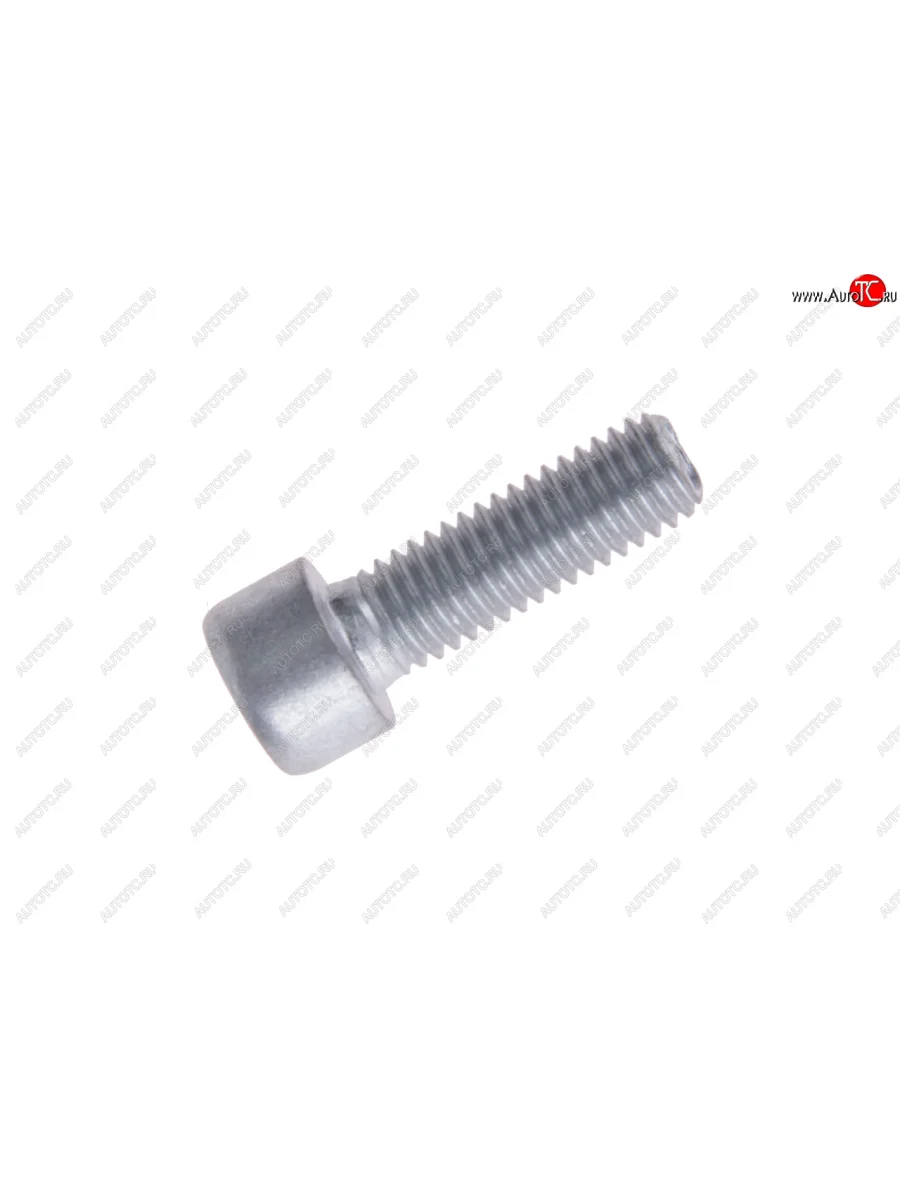 Болт М8х1.25х25 ВАЗ-1118,2101-12,2120,2121,2123,2170,2190 механизма рулевого NO NAME 21100-3401018  в Самаре Самарской области