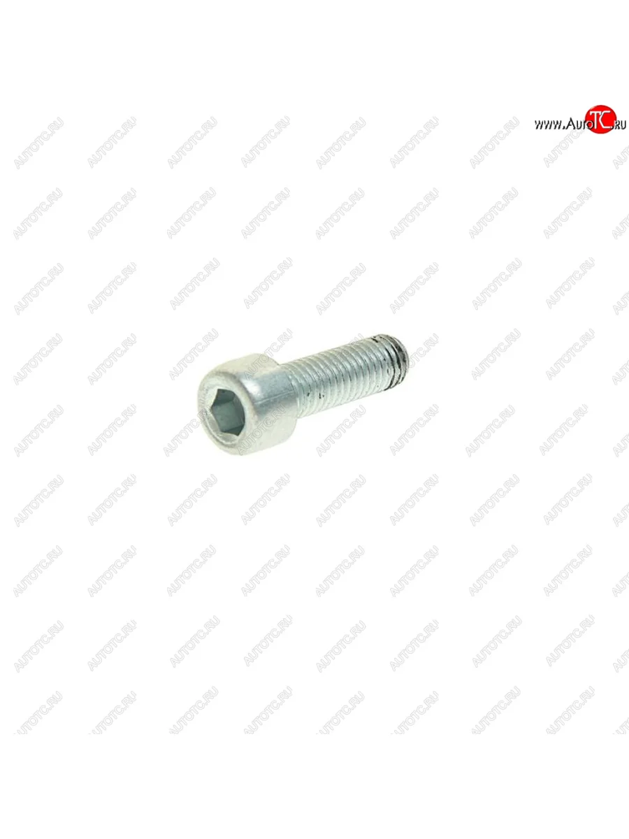 Болт М8х1.25х25 ВАЗ-1118,2101-12,2120,2121,2123,2170,2190 механизма рулевого (внутр.шестигр.)(кл.про БЕЛЗАН 21100-3401018-008  в Самаре Самарской области