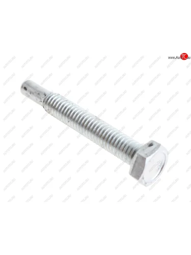 Болт ВАЗ-21214 крепления успокоителя цепи АвтоВАЗ LADA 21214-1006107-00