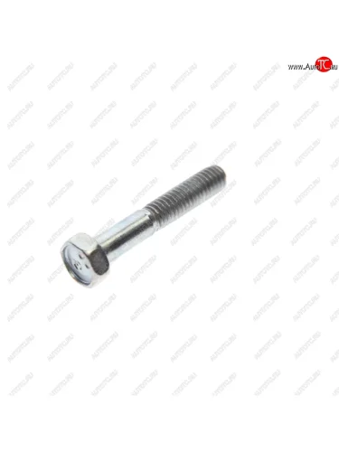 Болт М6х1.0х35 ВАЗ-2123 механизма ролика натяжения NO NAME 2123-1041062