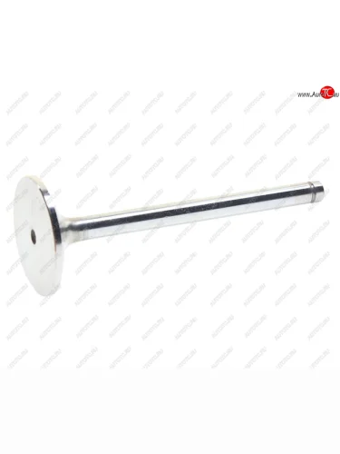 Клапан впускной MAN L2000 дв.D0826 MAHLE MAHLE 227ve31032000