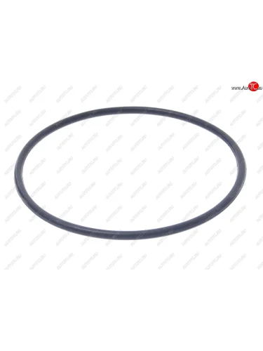 Кольцо уплотнительное CHEVROLET Lanos катушки зажигания OE GENERAL MOTORS 25190809