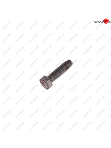 Болт М8х1.25х30 ГАЗ-2410 ограничитель задних колодок NO NAME 290615