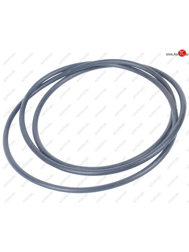 Кольцо КАМАЗ-6522 250х3 картера переднего моста (30250003) MADARA MADARA 3021о047