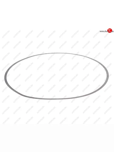 Кольцо MAN дв.D2865,66,76 гильзы регулировочное (0.05мм) DT DT 3.10165
