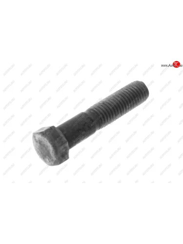 Болт М10х48 ЯМЗ сильфона АВТОДИЗЕЛЬ ЯМЗ 310228-п