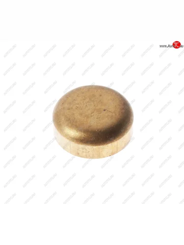 Заглушка ЯМЗ головки блока малая d=28 АВТОДИЗЕЛЬ ЯМЗ 313934-п