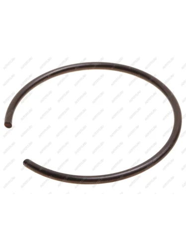 Кольцо стопорное MAN DAF полуоси DT DT 3.89508