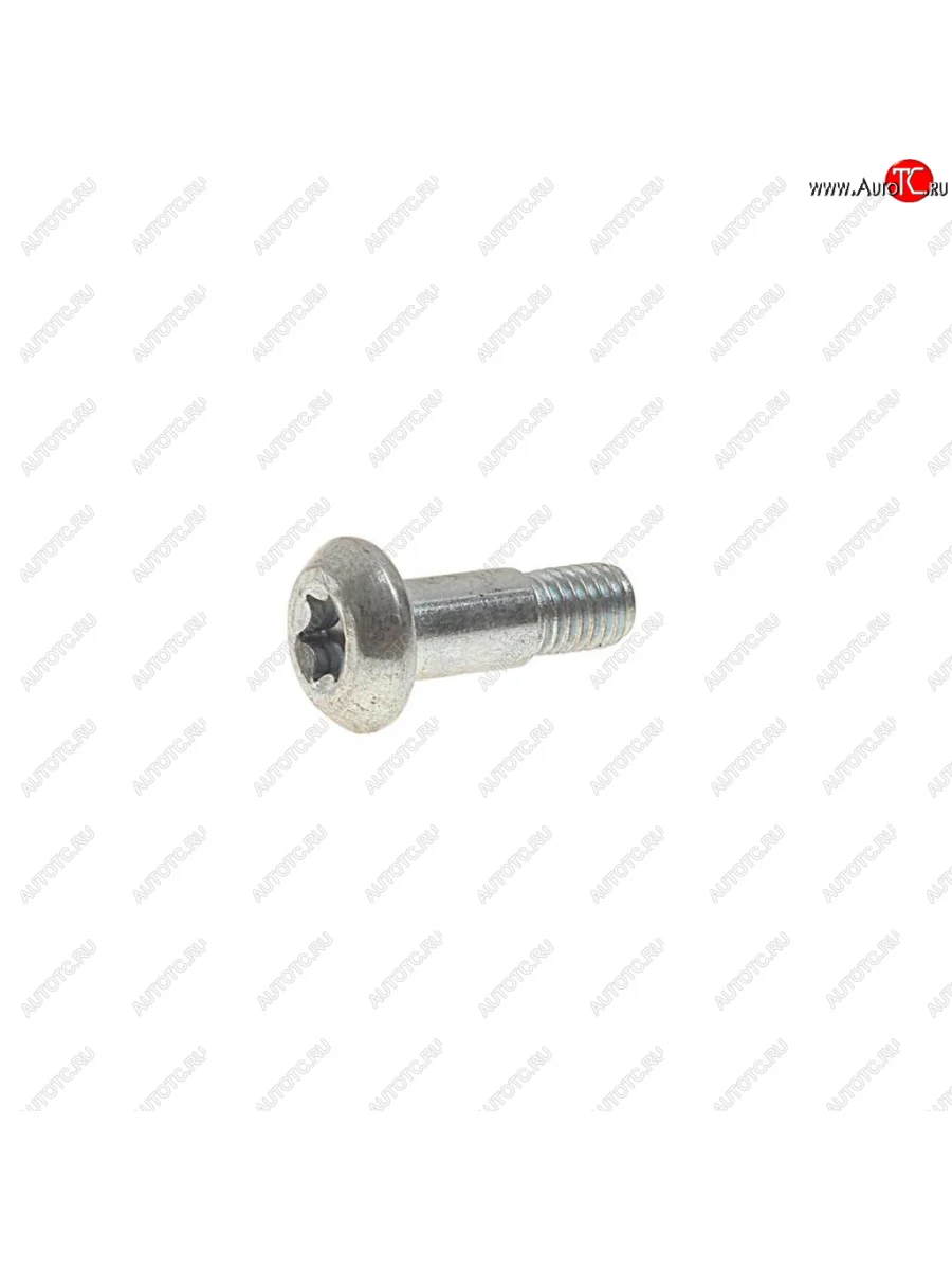 Болт М8х1.25х25 ГАЗ-3102 успокоителя цепи нижнего ЭТНА Красная Этна ОАО 406.1006096-20  в Самаре Самарской области