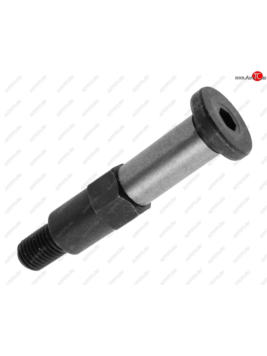 Болт М8х1.25х25 ГАЗ-3102 башмака натяжителя с удлинителем NO NAME 406.1006098099  в Самаре Самарской области