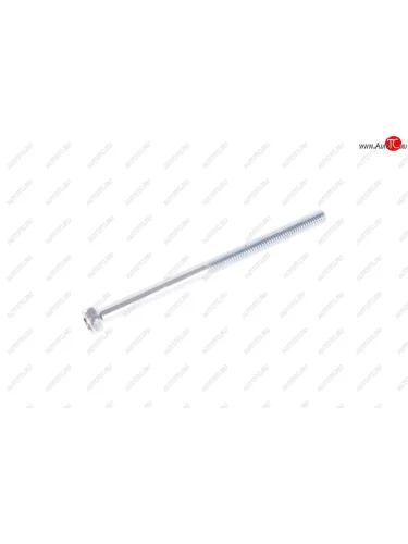 Болт М6х1.0х95 ЗМЗ-406 ролика натяжителя ЭТНА Красная Этна ОАО 406.1308090