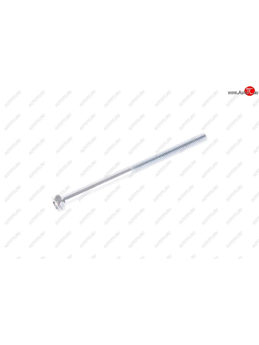 Болт М6х1.0х95 ЗМЗ-406 ролика натяжителя ЭТНА Красная Этна ОАО 406.1308090  в Самаре Самарской области