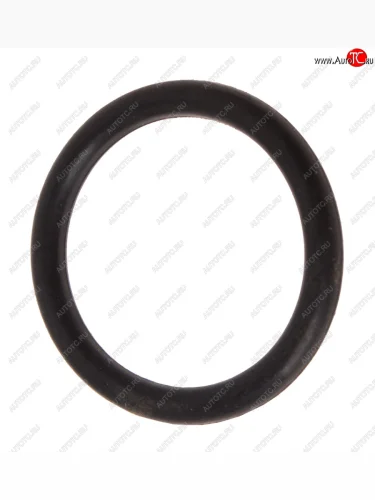 Кольцо Т-170 NO NAME 46764