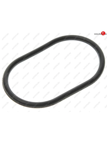Кольцо уплотнительное CHERY Tiggo 3,7 (16-) блока цилиндров OE CHERY 481h-1009022
