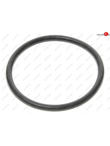 Кольцо уплотнительное CHERY B11,Fora насоса масляного OE CHERY 481h-1011032
