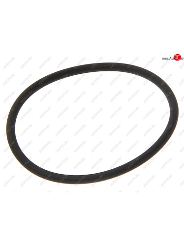 Кольцо уплотнительное КАМАЗ-5490 MERCEDES турбокомпрессора ELRING ELRING 491.970