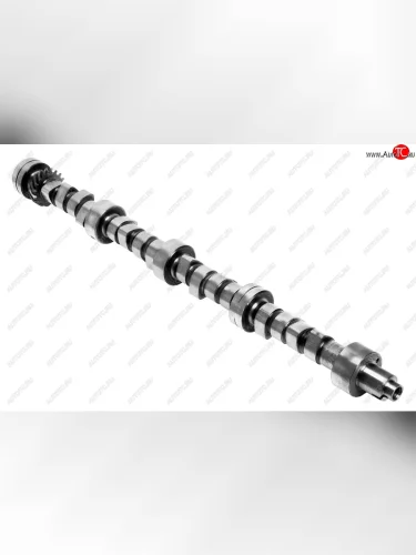 Вал распределительный ГАЗ-53 (ОАО ЗМЗ) ЗМЗ 511000-1006015-00