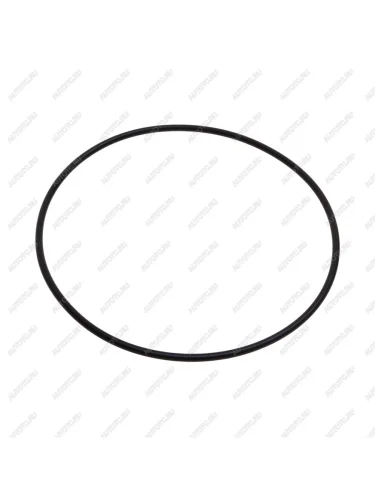 Кольцо уплотнительное DAF DT DT 5.20230
