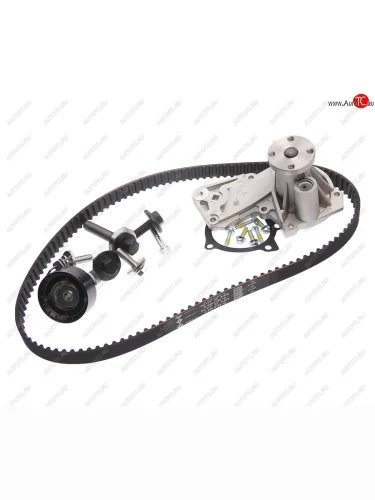 Комплект ГРМ FORD Fusion,Focus 2 (1.41.6) с насосом водяным INA INA 530049530