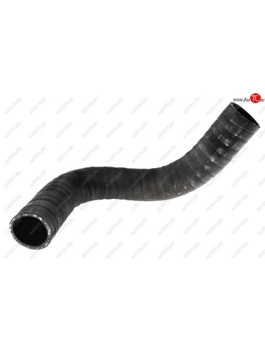 Патрубок ГАЗ радиатора нижний NO NAME 53-1303025