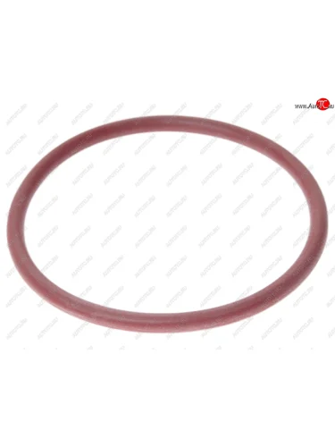 Кольцо ЯМЗ-53443 уплотнительное радиатора отработавших АВТОДИЗЕЛЬ ЯМЗ 53443.1213054-01