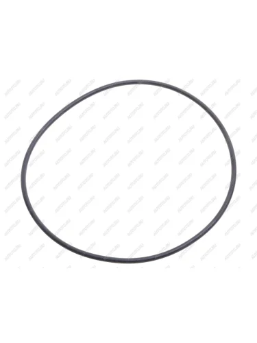 Кольцо уплотнительное RENAULT насоса водяного DT DT 6.30060