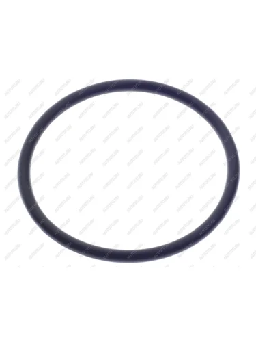Кольцо уплотнительное RENAULT Premium системы охлаждения (53х3.55мм) DT DT 6.30069