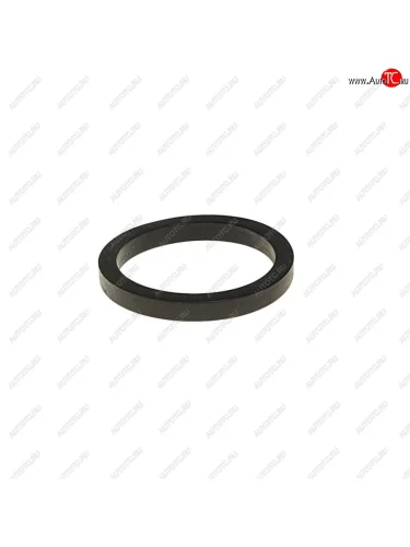 Кольцо уплотнительное RENAULT Premium термостата DT DT 6.30071