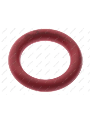 Кольцо уплотнительное RENAULT трубки топливной (21x25x11) DT DT 6.33087