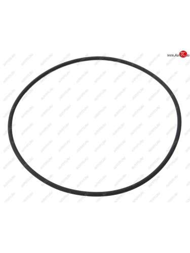 Кольцо ЯМЗ-650.10 уплотнительное втулки коленвала АВТОДИЗЕЛЬ ЯМЗ 650.1005041