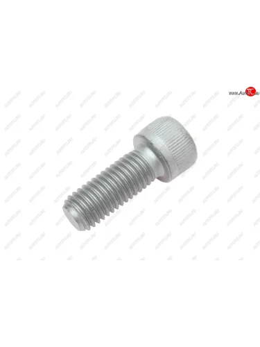 Болт ЯМЗ-650.10 демпфера коленвала АВТОДИЗЕЛЬ ЯМЗ 650.1005106 ЯМЗ 650.1005106