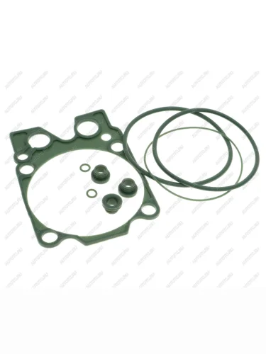 Ремкомплект КАМАЗ двигателя РТИ силикон (5 поз.9 дет. на 1 цилиндр) АВТОПРОКЛАДКА АВТОПРОКЛАДКА 740.1003213-24 рк