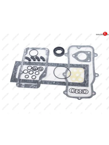 Ремкомплект ЯМЗ ТНВД-236 (19 наимен.) РД РУССКИЙ ДВИГАТЕЛЬ 8046-1111011