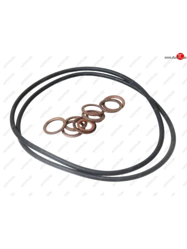 Ремкомплект ЯМЗ-236НЕ,7511,8401 Ф.Г.О.Т. РД РУССКИЙ ДВИГАТЕЛЬ 840.1105001