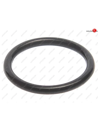 Кольцо уплотнительное VW Passat (00-05) трубки кондиционера NINGBO NINGBO 8e0260749anm NINGBO 8e0260749anm