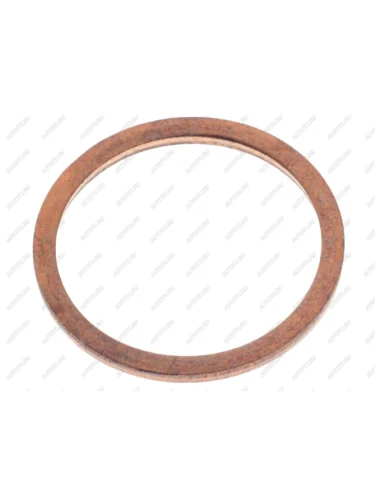 Кольцо уплотнительное MERCEDES MAN клапана редукционного (24x29x2) DT DT 9.01052